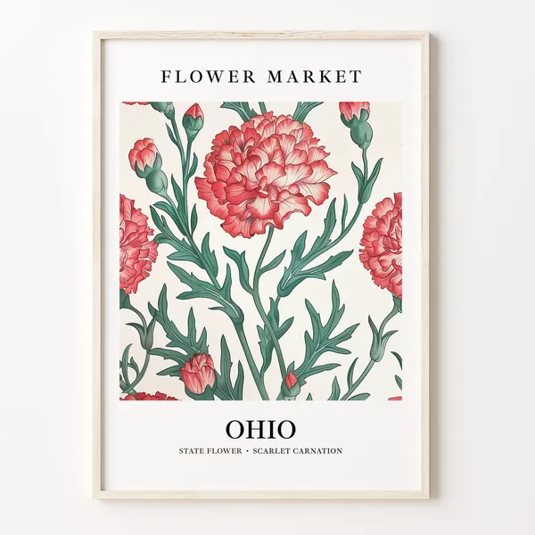 Ohio State Flower Art Print, Scarlet Carnation