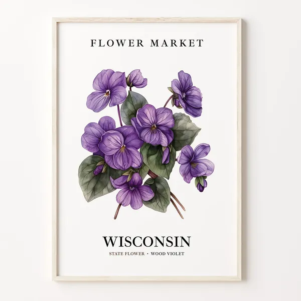 Wisconsin State Flower, Wood Violet Botanical Art Print