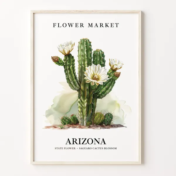Arizona State Flower 1960s Botanical Poster