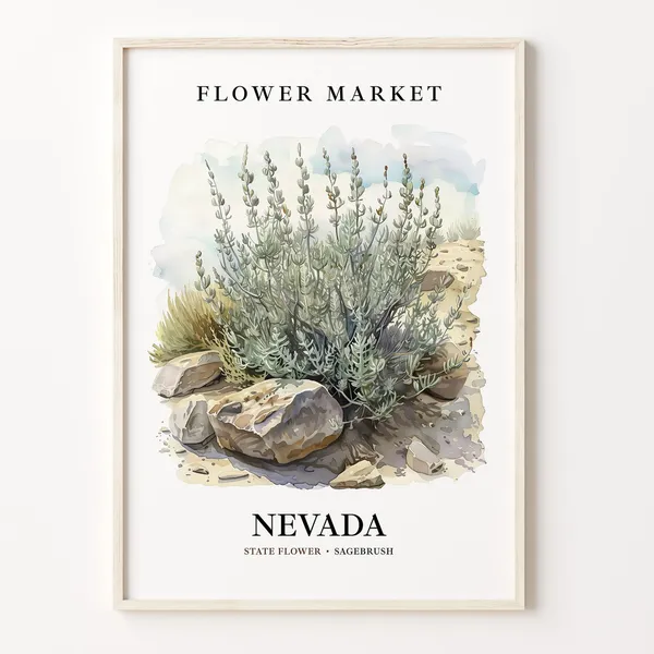 Nevada State Flower Sagebrush Botanical Art Print
