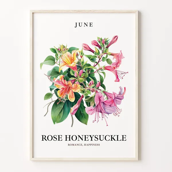 June Flower Market Rose Honeysuckle Art Print
