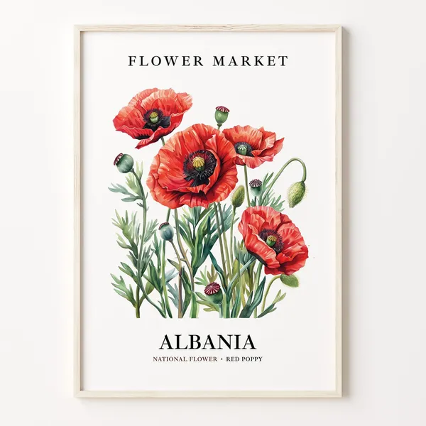 Albania Flower Market Red Poppy Botanical Art Print