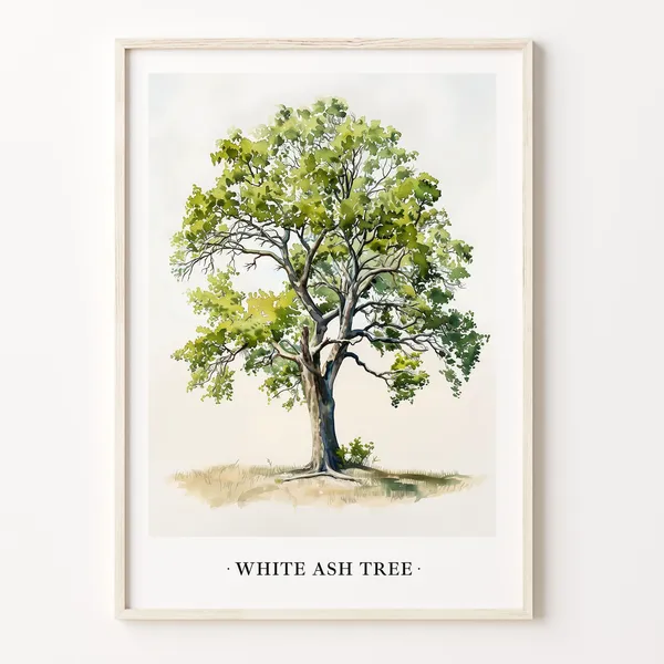 White Ash Tree Nature Poster, Botanical Decor