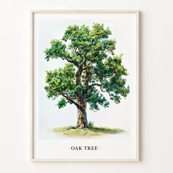 Oak Tree Art Print, Nature Botanical Illustration