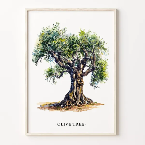 Olive Tree Art Print, Mediterranean Botanical Decor