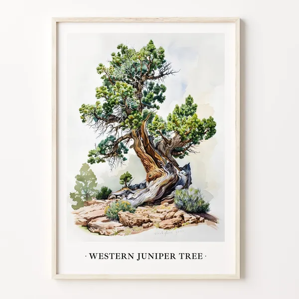 Western Juniper Tree Art Print, Rustic Botanical