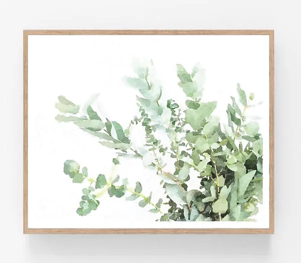 Eucalyptus Botanical Watercolor Plant Art Print