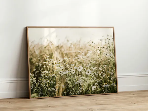 Daisy Field Photography Poster, Wildflower Wall Art