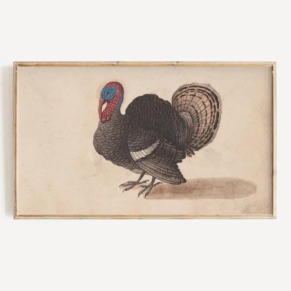 Thanksgiving Turkey Vintage Fall Art Print