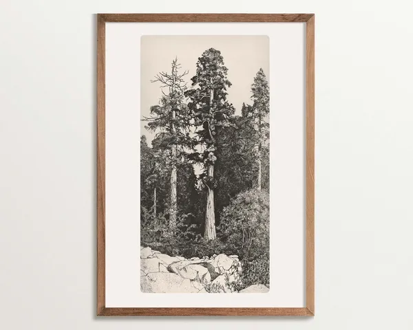 Vintage Tree Sketch Art Print, Rustic Cottagecore
