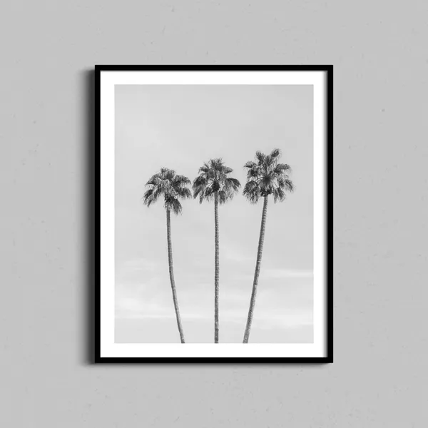 Black And White Palm Trees Art Print, Coastal Decor
