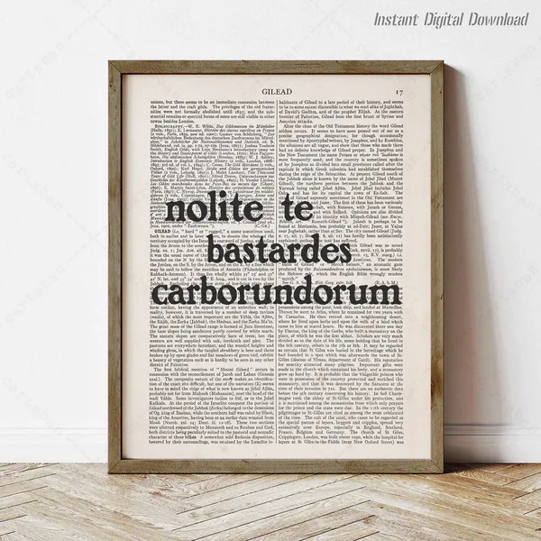 Margaret Atwood Quote, The Handmaid's Tale Art Print