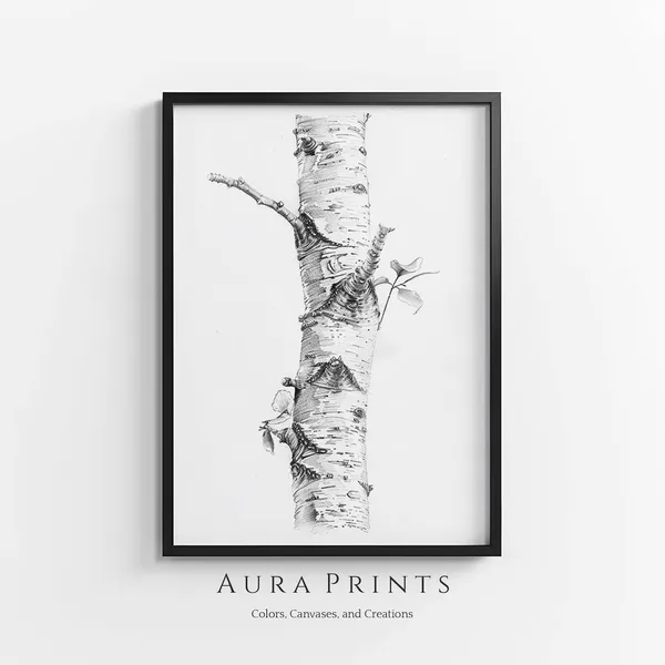 Vintage Birch Tree Pencil Sketch Art Print, Farmhouse