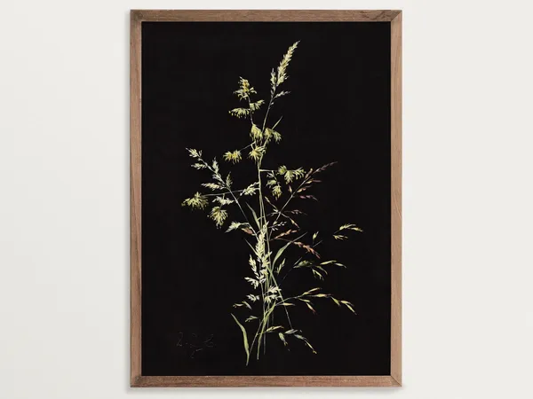 Dark Botanical Print, Moody Floral Art Print