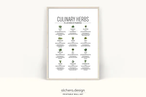 Herb Guide Poster, Kitchen Wall Decor Art Print