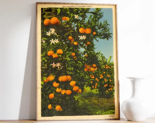 Vintage Florida Orange Grove Poster, Botanical Print