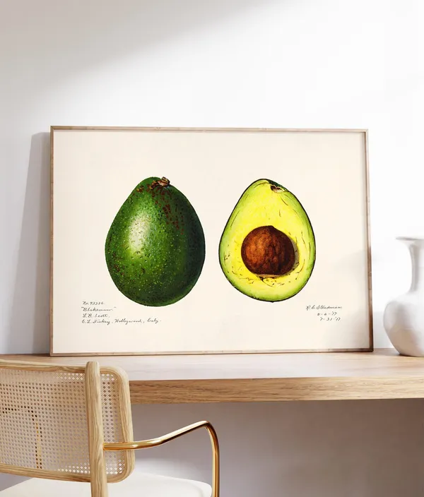 Avocado Minimalist Kitchen Art Print, Modern Poster