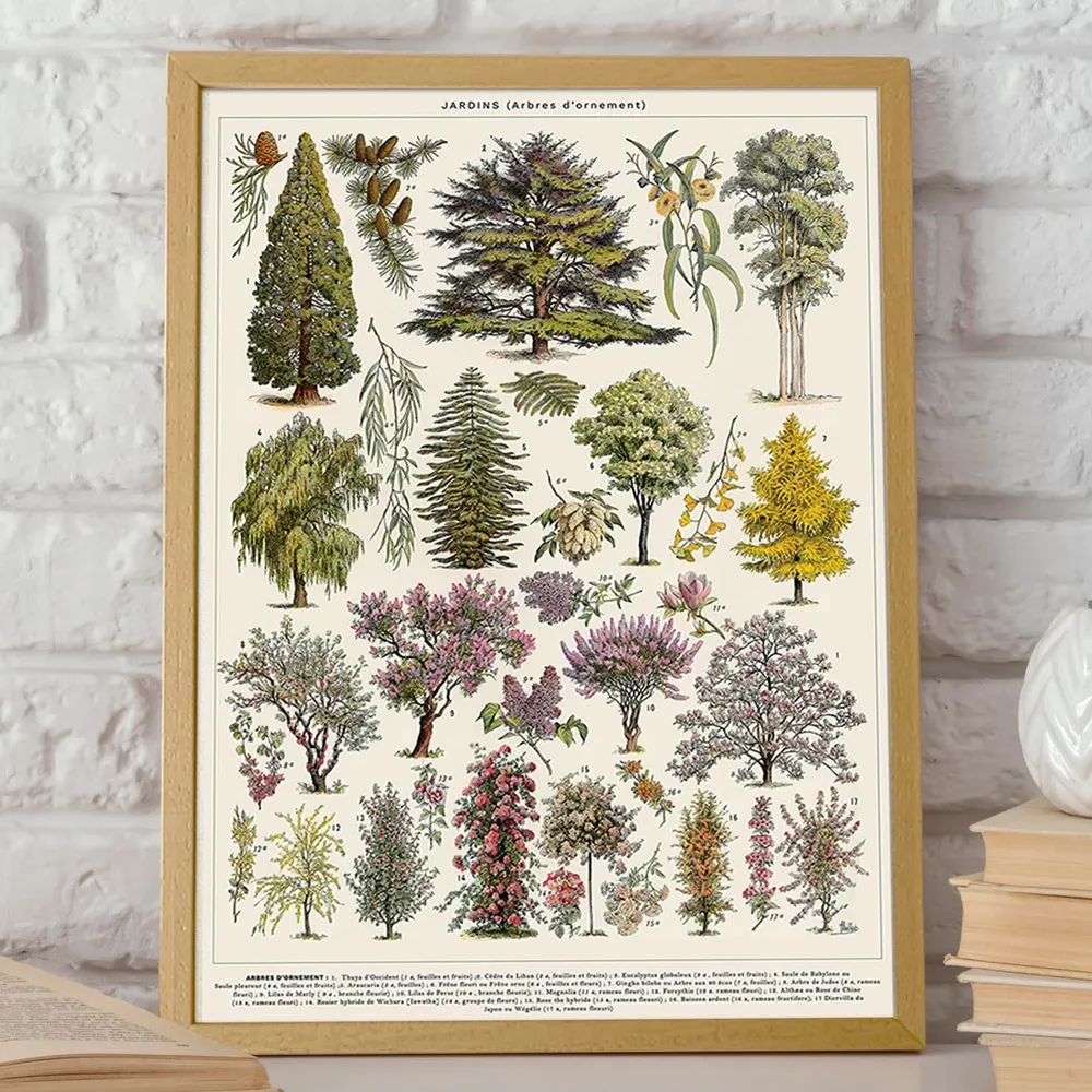 French Tree Botanical Art, Art Print - Image 2
