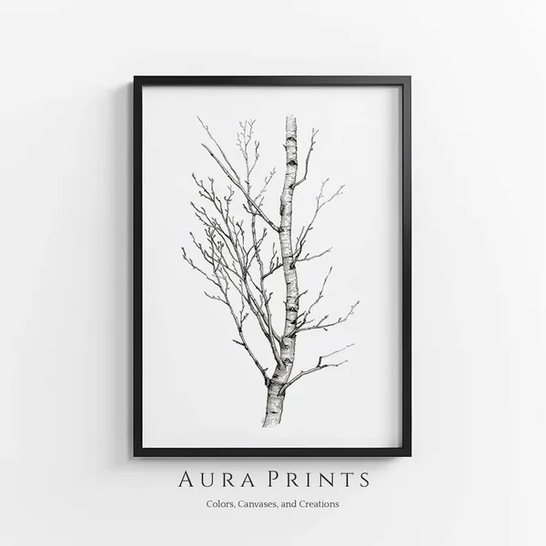 Birch Tree Pencil Sketch, Neutral Farmhouse Nursery Art