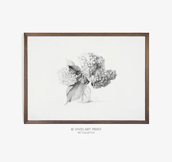 Antique Hydrangea Sketch, Vintage Kitchen Art Print