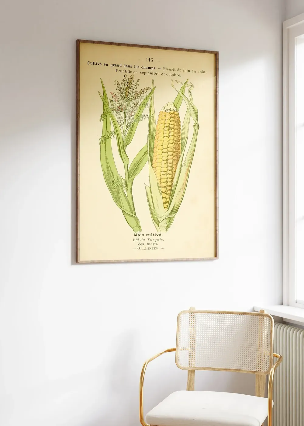 Vintage Corn Field Art Print, Old French Book Page - Image 3