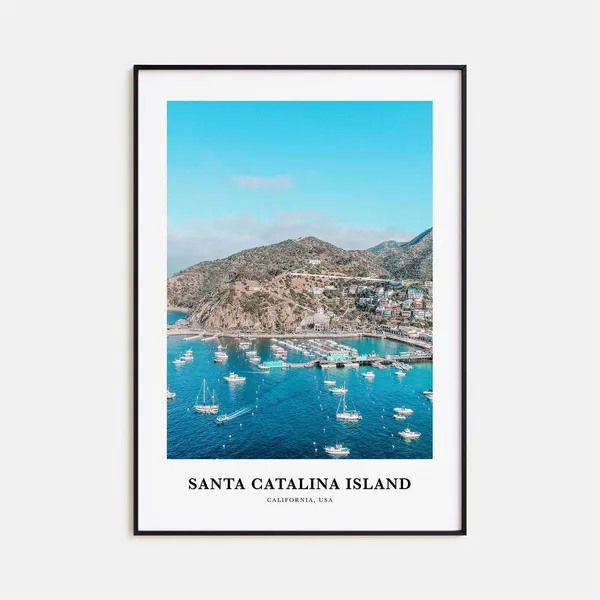 Santa Catalina Island Travel Poster, California USA