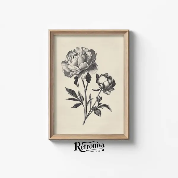 Vintage Peony Sketch Drawing, Botanical Art Print