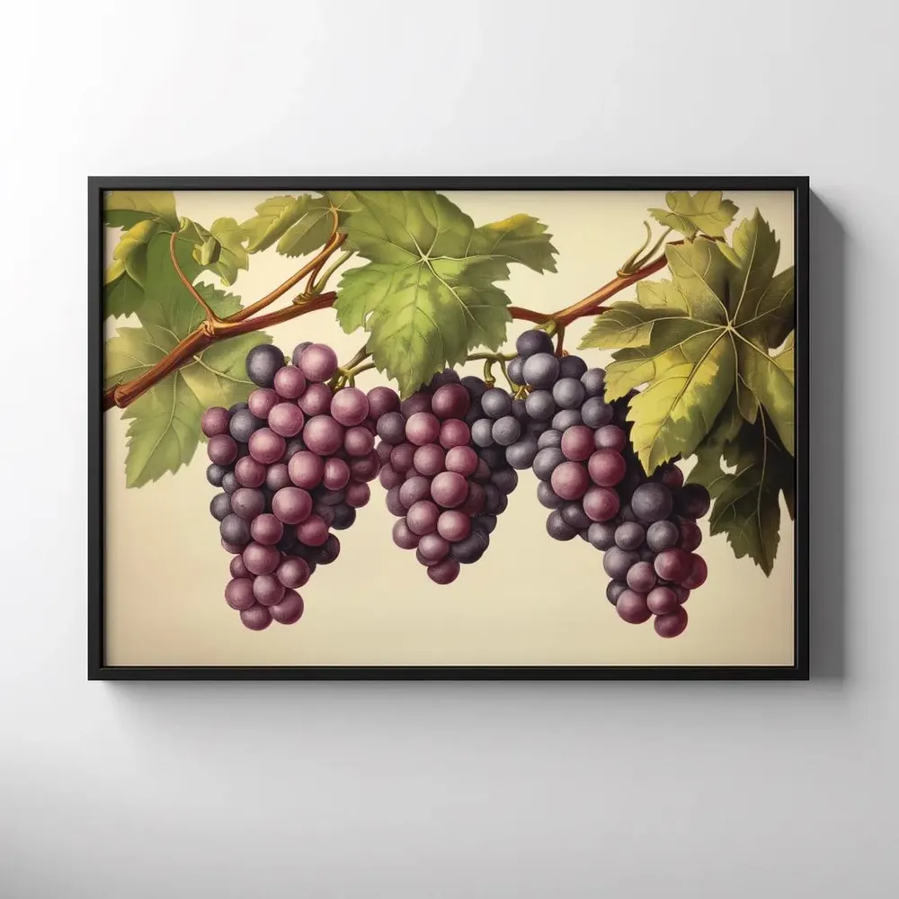 Vintage Grape Vine Art Print, Tuscan Wine Decor