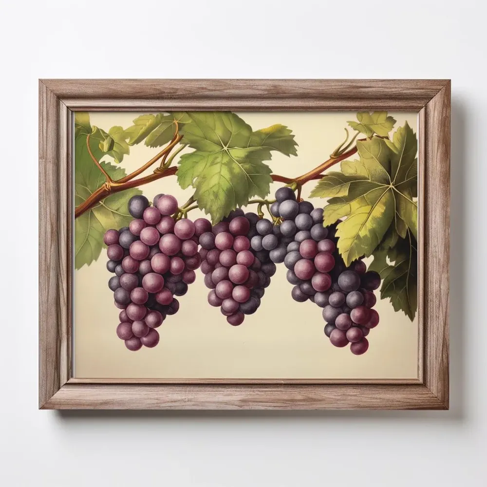 Vintage Grape Vine Art Print, Tuscan Wine Decor - Image 2
