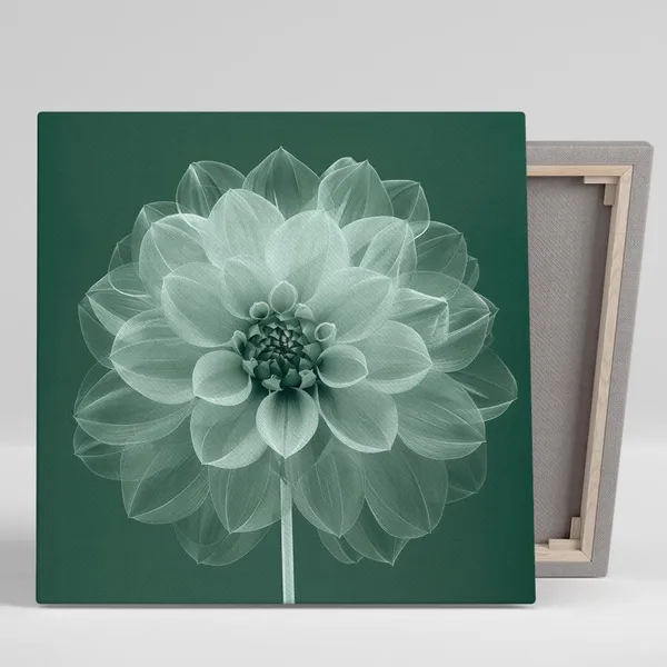 Dahlia Contemporary Minimalist Art Print, Living Room