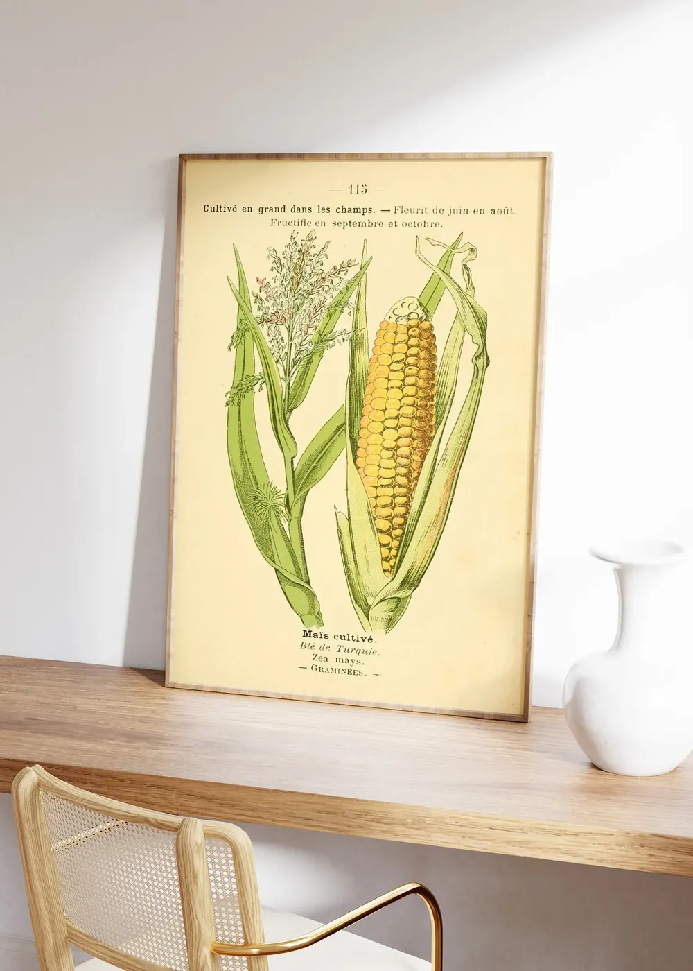 Vintage Corn Field Art Print, Old French Book Page - Image 4