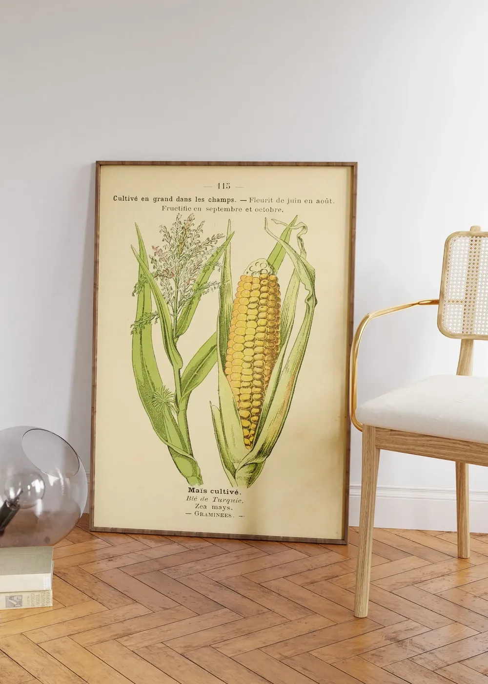 Vintage Corn Field Art Print, Old French Book Page - Image 2