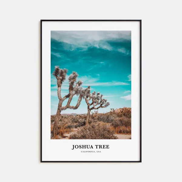 Joshua Tree National Park Travel Poster, California Map