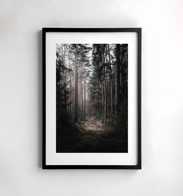 Forest Photography Nature Poster Print, Moody Trees