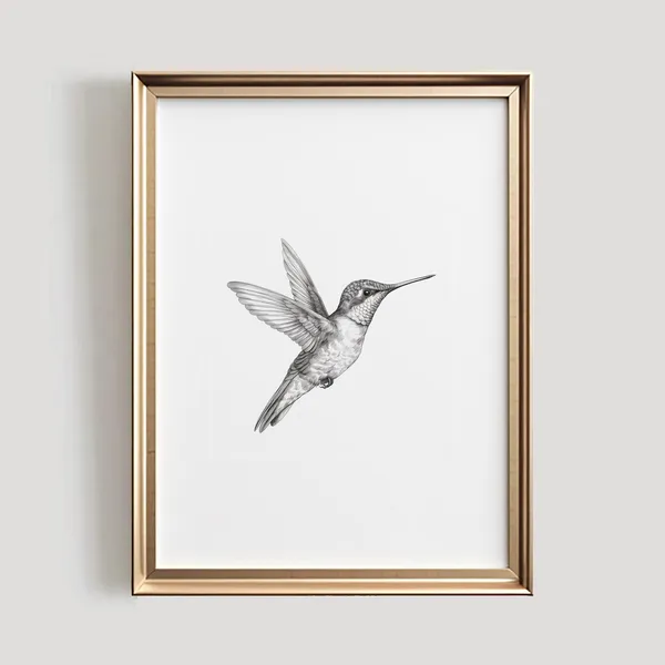Hummingbird Sketch Black and White Bird Art Print