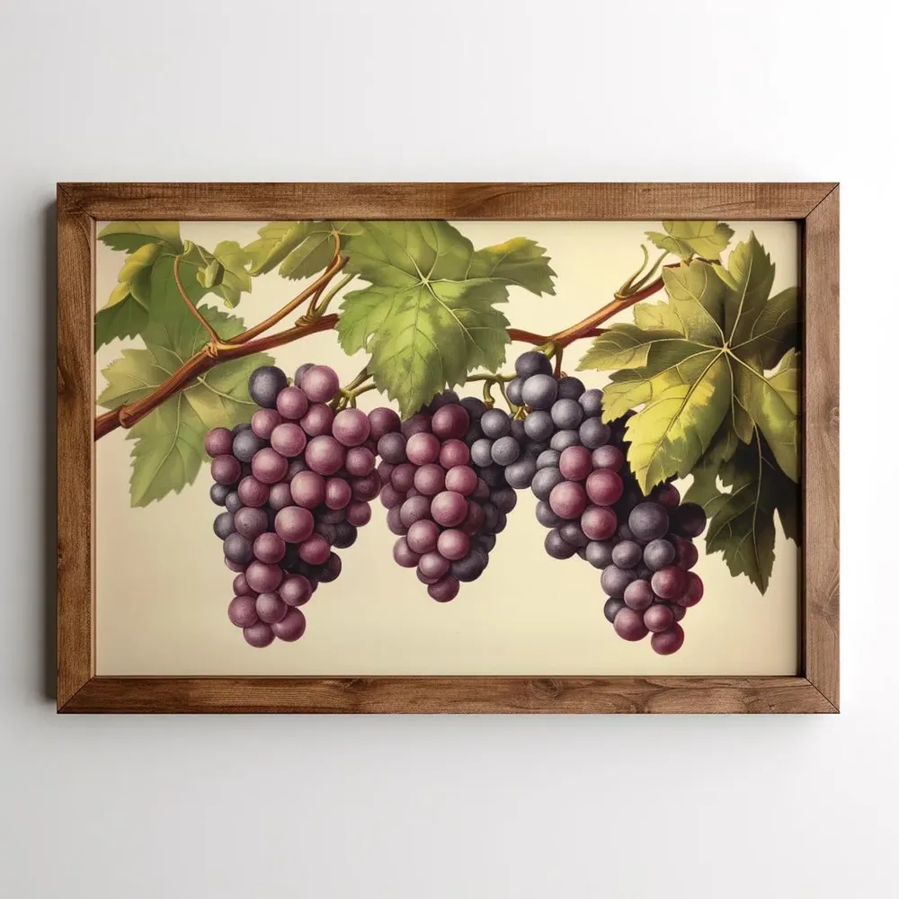 Vintage Grape Vine Art Print, Tuscan Wine Decor - Image 5