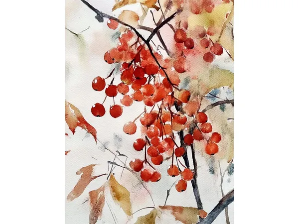 Rowan Tree Watercolor Art Print, Fall Tree Landscape