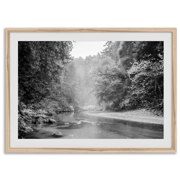 Misty Redwood Forest, California Nature Art Print