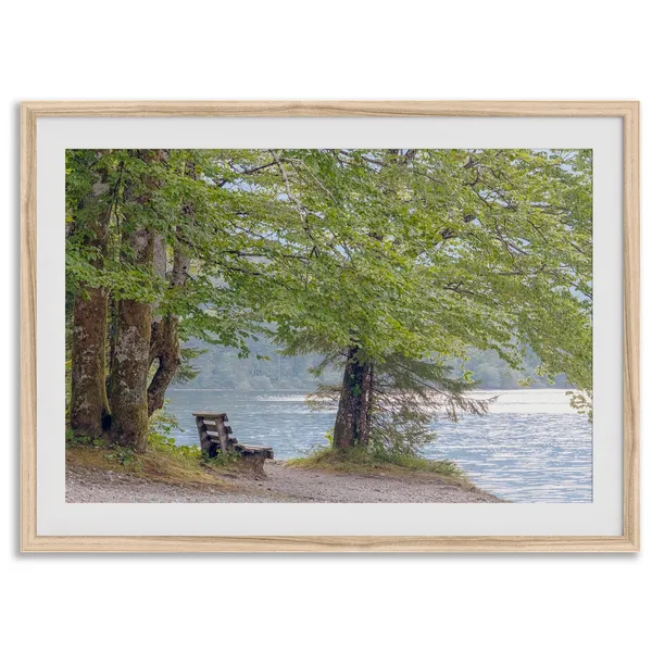 Serene Beach Lake Tree Fine Art Photography Print