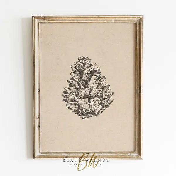 Pinecone Art Print, Minimalist Winter Botanical