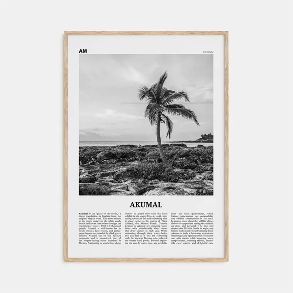 Akumal Mexico Black And White Travel Poster Art Print