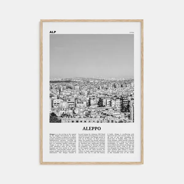 Aleppo Black and White Wall Art Poster, Syria