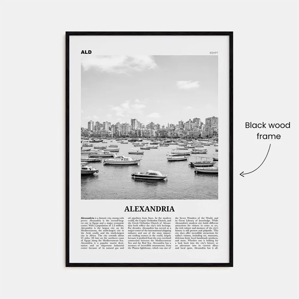 Alexandria Black and White Egypt Wall Art Print - Image 3