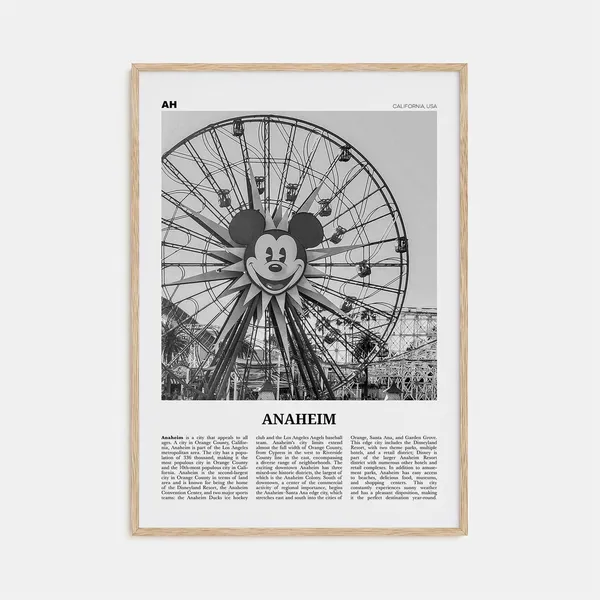 Anaheim Black and White Travel Poster, California