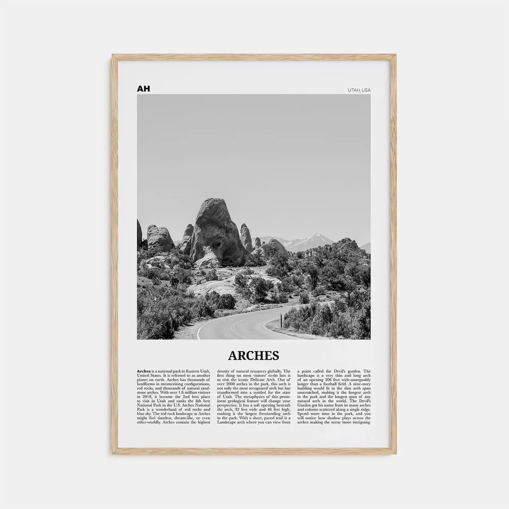 Arches National Park Black and White Travel Poster