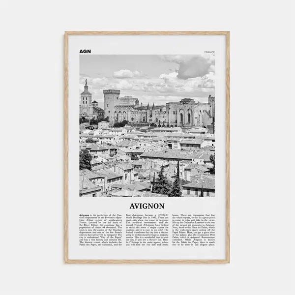 Avignon Black and White France Travel Poster Print