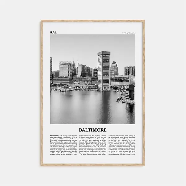 Baltimore Black and White No. 1 Travel Poster Print
