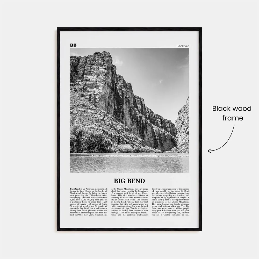Big Bend National Park Black And White Travel Poster - Image 3