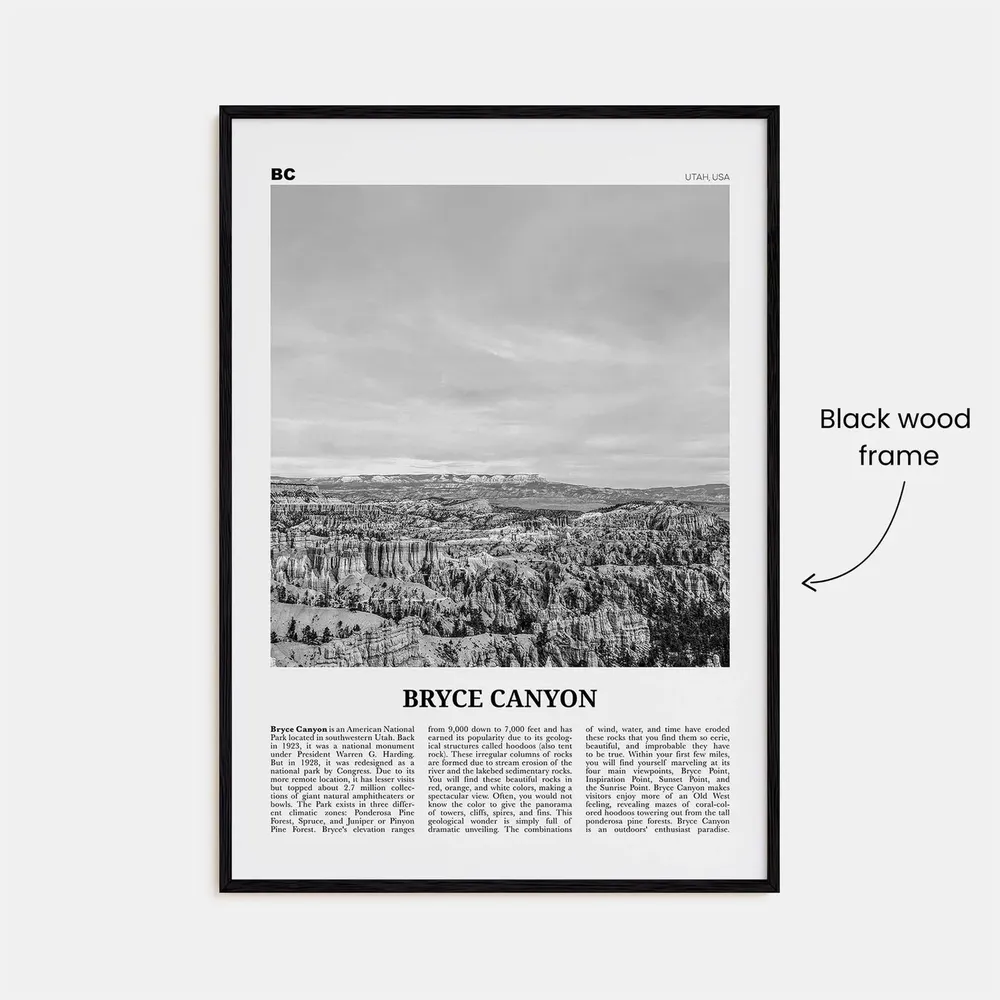 Bryce Canyon National Park, Black and White Travel Poster - Image 3