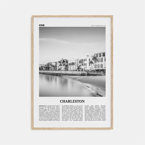 Charleston, South Carolina Black and White Travel Poster